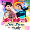 About Anil Sawariya Ke Love Story Song